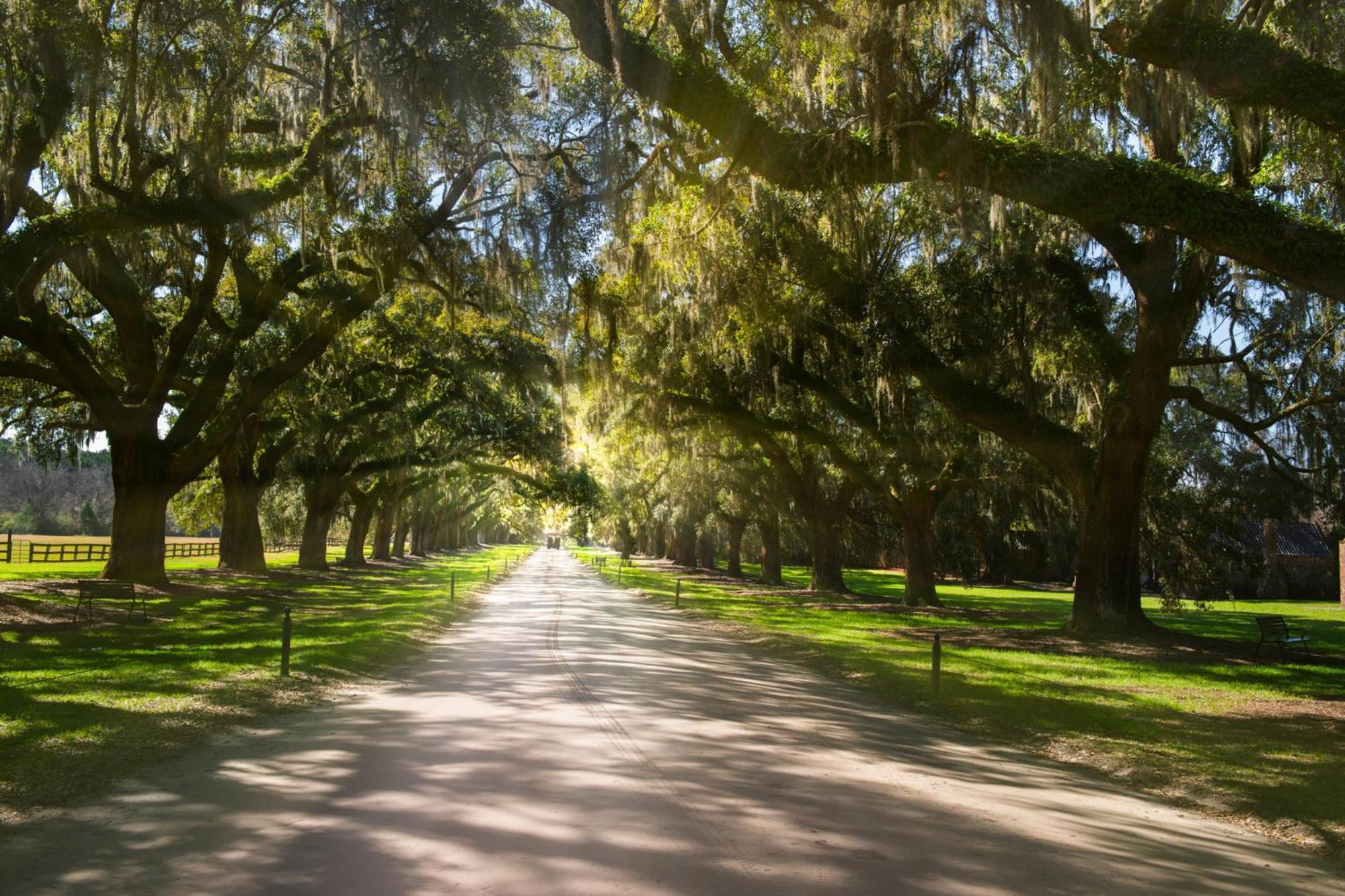 442 Oceanwoods Vila Kiawah Island Exterior foto